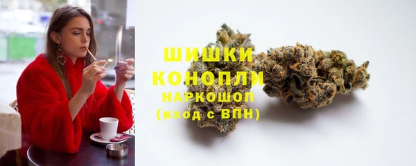 шишки Алексин