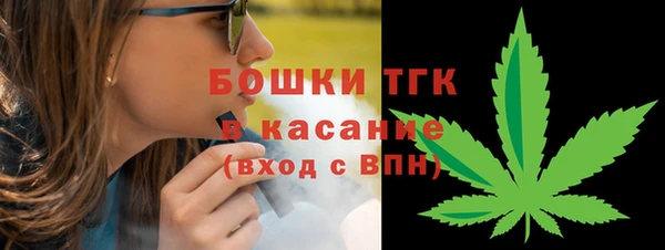 шишки Алексин