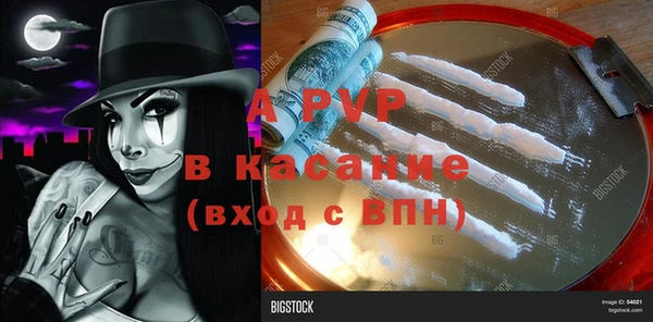 шишки Алексин